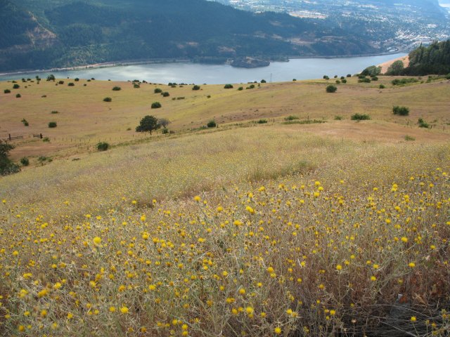 7.30.06 Coyote Wall, Labyrinth 052 